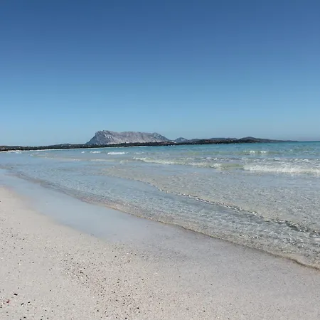 Trilocale A 700 Mt Dalla Cinta Hébergement de vacances